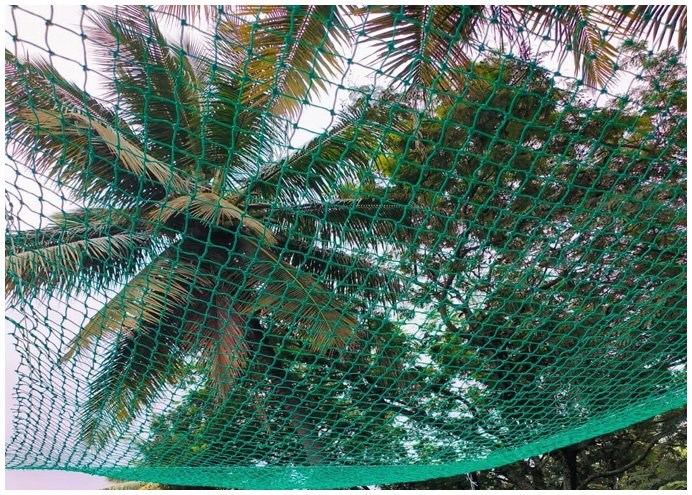 Coconut Tree Safety Nets in Bangalore