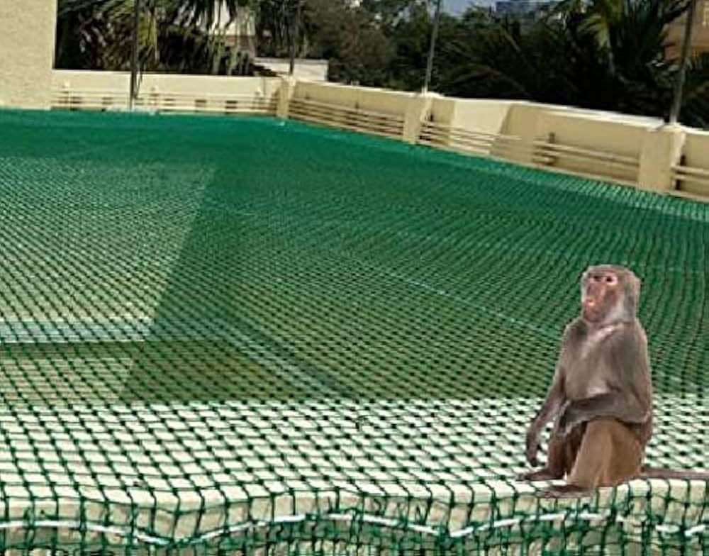 Monkey Safety Nets Installation in Bangalore