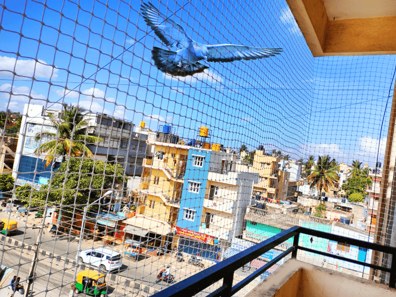 Pigeon Safety Nets in BTM Layout - Junia Safety Nets